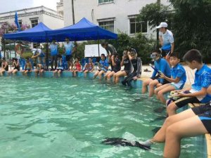 <b>广州潜水学校2022年有哪些专业</b>
