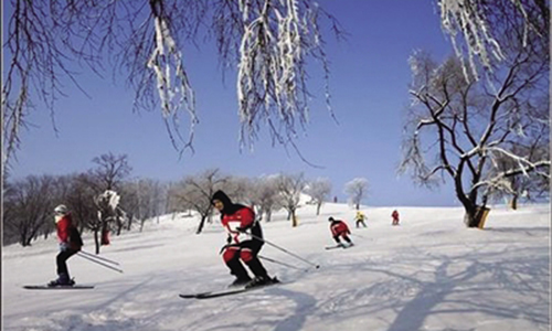 黑龙江滑雪学校