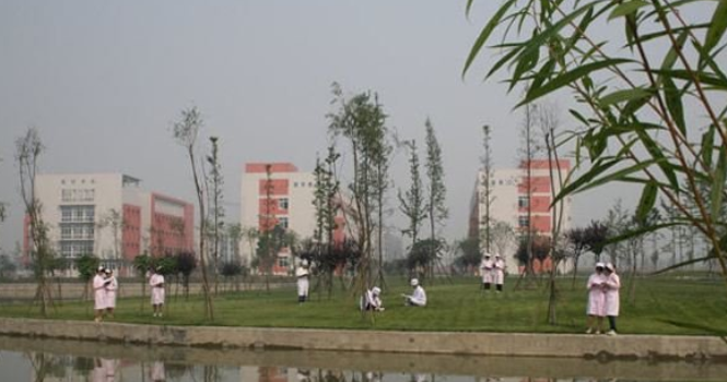 哪所高级护理学校好(图1)