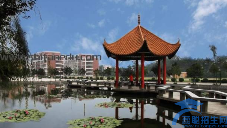 成都学前教育学校哪些好(图1)