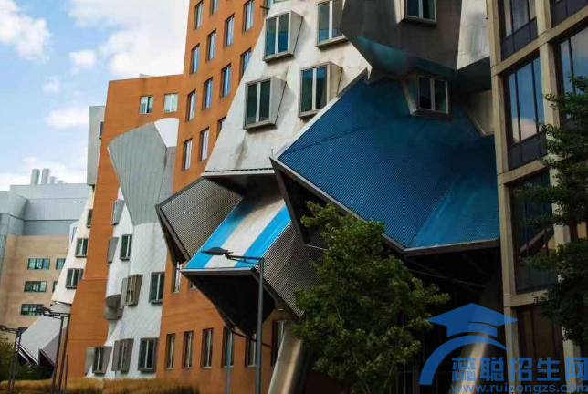 2022年大专学校哪些有计算机(图1)