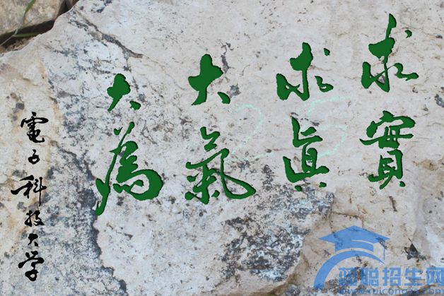 成都哪所软件开发学校好(图1)