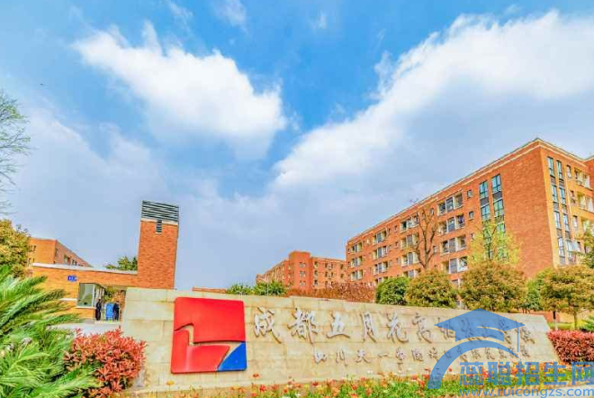 成都高中生读软件开发好吗(图1)