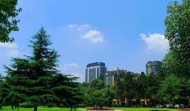 成都有软件开发的大专大学(图1)