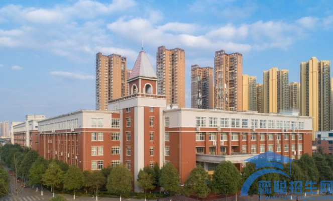 成都软件开发最好学校(图1)