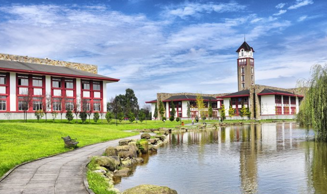 成都软件开发学校哪里好(图1)