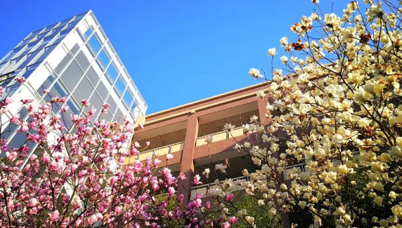 宁波东钱湖旅游学校收费情况(图1)
