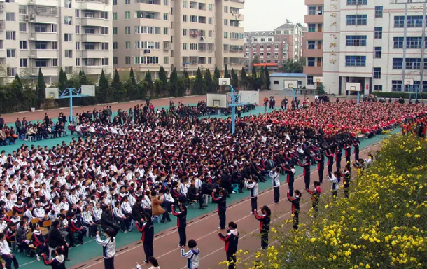 温州新纪元学校收费情况(图1)