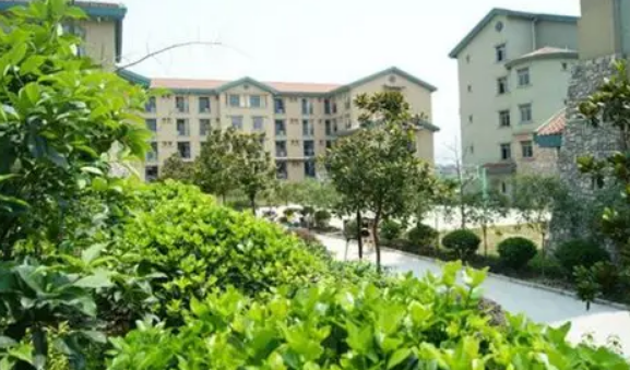 石家庄商业外事职业学校2023年录取分数线(图1)