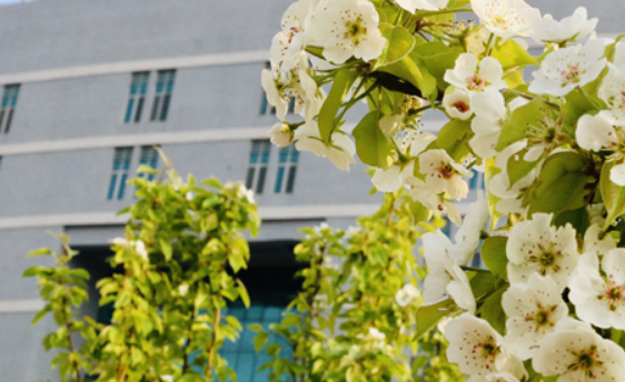 唐山卫生学校2023年录取分数线(图1)