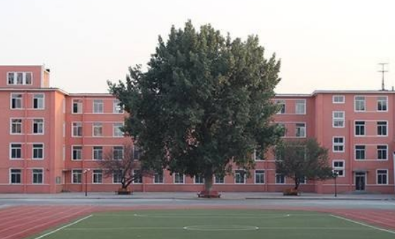 秦皇岛大东职业学校收费情况(图1)