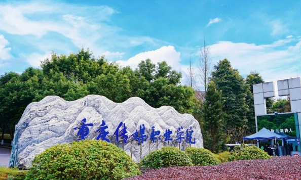 重庆传媒职业学院五年制大专2023年录取分数线(图1)