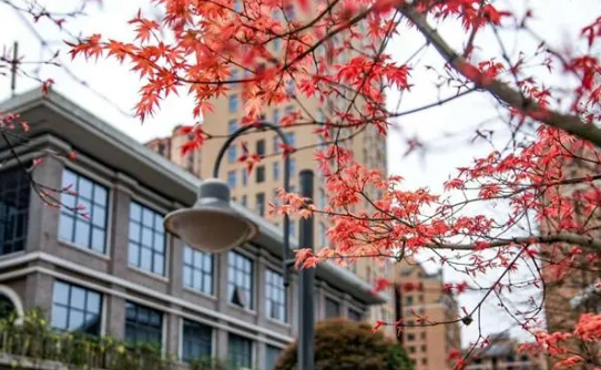 重庆财政学校收费情况(图1)