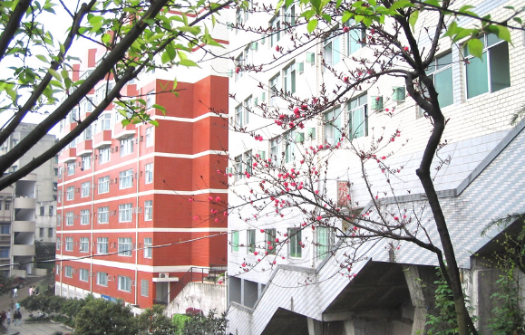 重庆微电子工业学校2023年录取分数线(图1)
